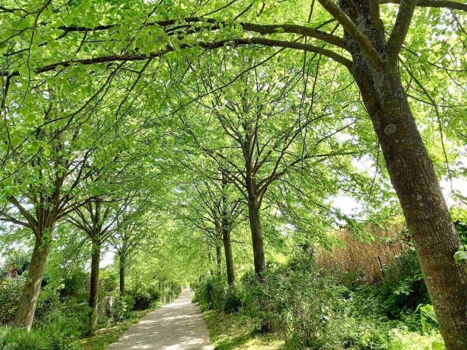 Le Domaine Reserve , Parking Et Ecrin De Verdure Amiens Eksteriør billede