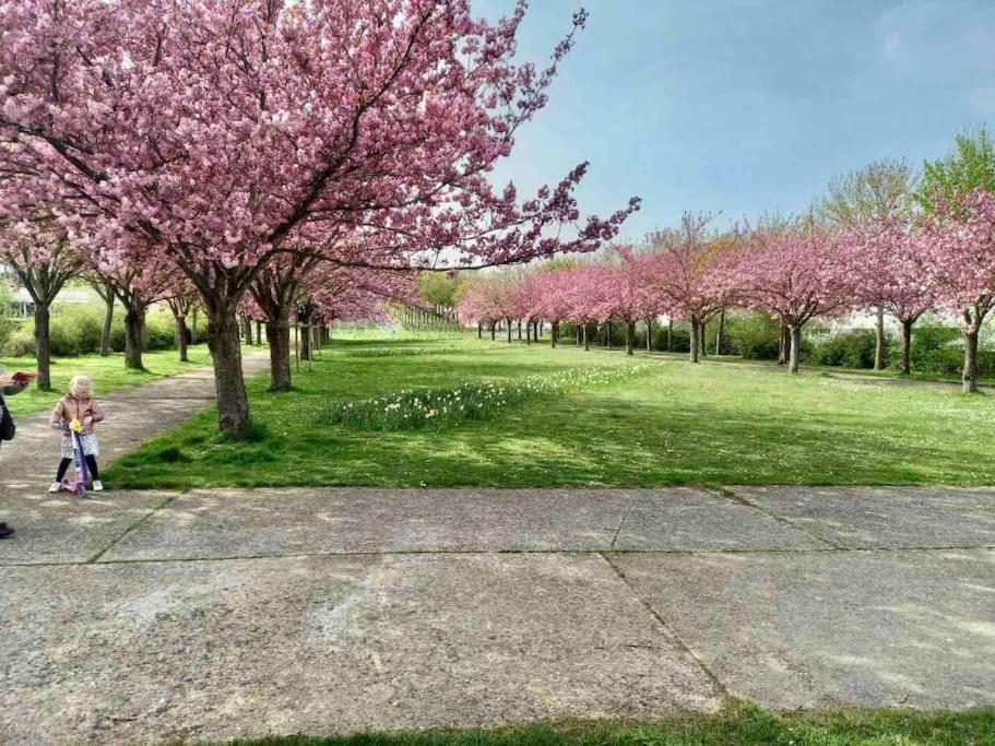 Le Domaine Reserve , Parking Et Ecrin De Verdure Amiens Eksteriør billede