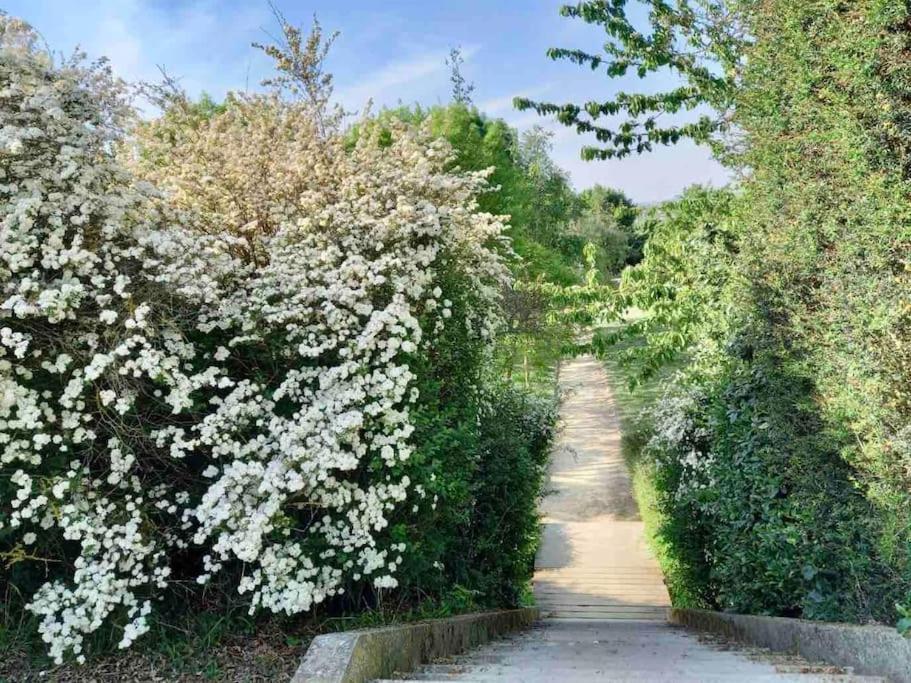 Le Domaine Reserve , Parking Et Ecrin De Verdure Amiens Eksteriør billede